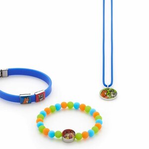 Magneetsieraden Flevoland image 7