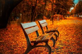 Nooit eerder zo warm op 24 november