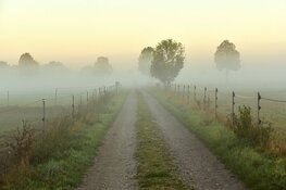 Grijze maand januari houdt voorlopig nog even aan