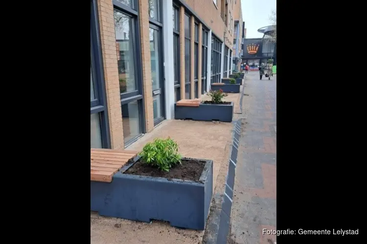 Delftse stoepen in Stadshuisstraat en Florijnstraat