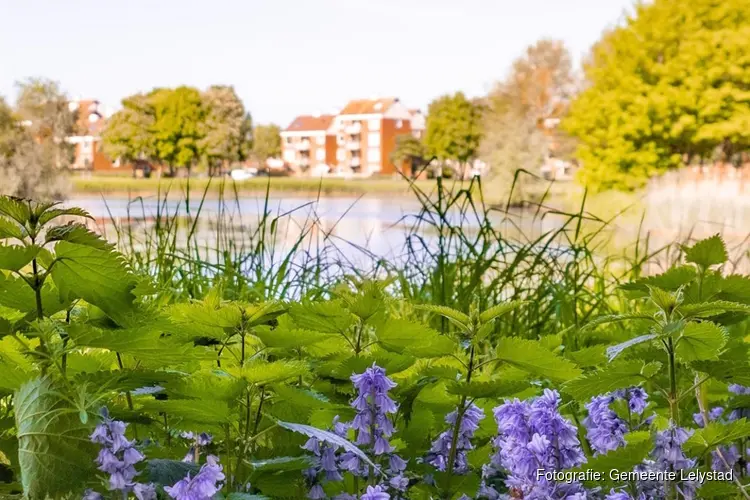Kenniscentrum Nieuwe natuur in ontwikkeling