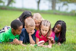 Inschrijving Summer’s Cool van start