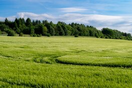 Staatssecretaris komt kijken hoe Lelystad omgaat met natuur in de stad