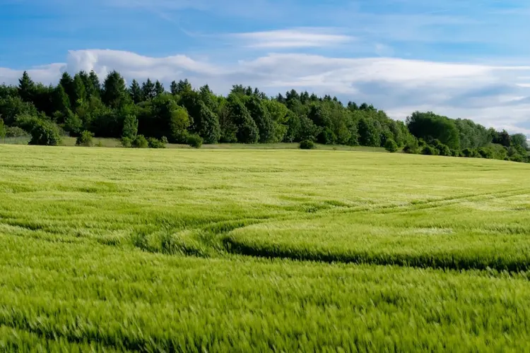 Staatssecretaris komt kijken hoe Lelystad omgaat met natuur in de stad