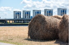 Houtribdijk wordt gemaaid: stevige dijk, veilige toekomst