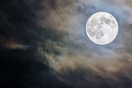 Halloween Spookwandeling: Lekker griezelen in het donker!