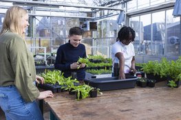 Aeres VMBO Lelystad opent haar deuren voor ouders van groep 8-leerlingen