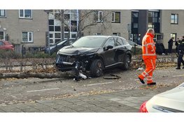 Auto botst tegen boom in Lelystad