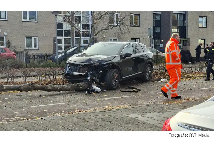 Auto botst tegen boom in Lelystad