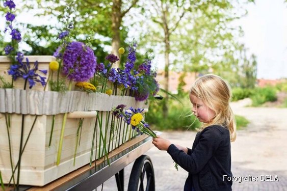 Inwoners van Flevoland goed beeld bij eigen afscheid