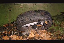 Auto te water na eenzijdig ongeval, meerdere gewonden