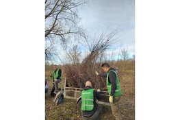 Help Meer Bomen Nu Flevoland met het redden van jonge bomen en struiken