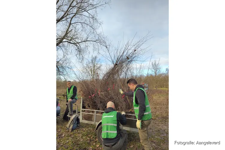 Help Meer Bomen Nu Flevoland met het redden van jonge bomen en struiken