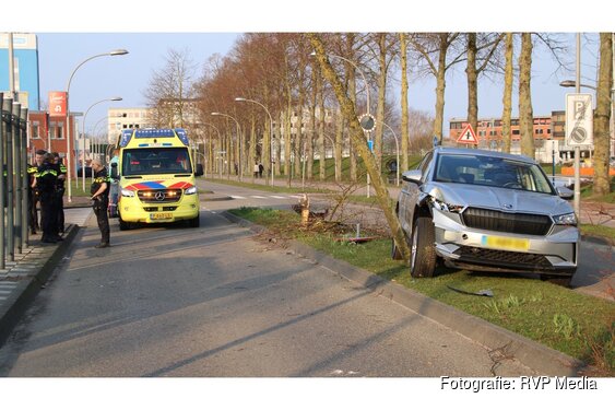 Automobiliste rijdt bomen uit grond in Lelystad