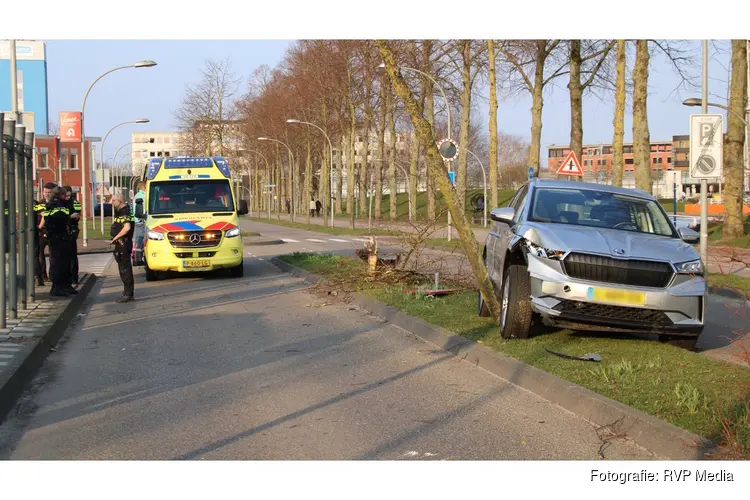 Automobiliste rijdt bomen uit grond in Lelystad