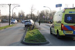 Automobiliste rijdt bomen uit grond in Lelystad