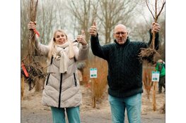 Laatste kans op jonge boompjes: Meer Bomen Nu geeft geredde bomen en struiken weg