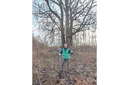 Laatste kans op jonge boompjes: Meer Bomen Nu geeft geredde bomen en struiken weg