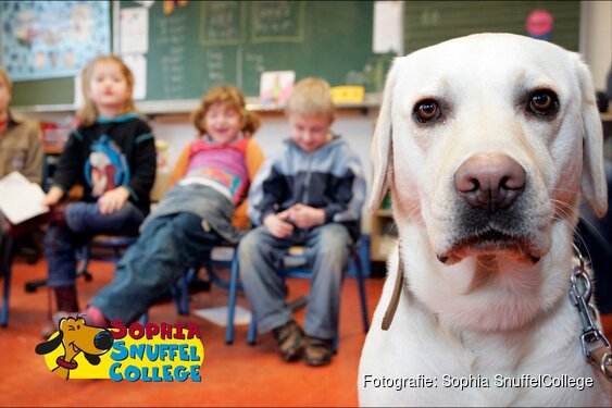 Hond voor de klas op basisschool de Triangel in Lelystad