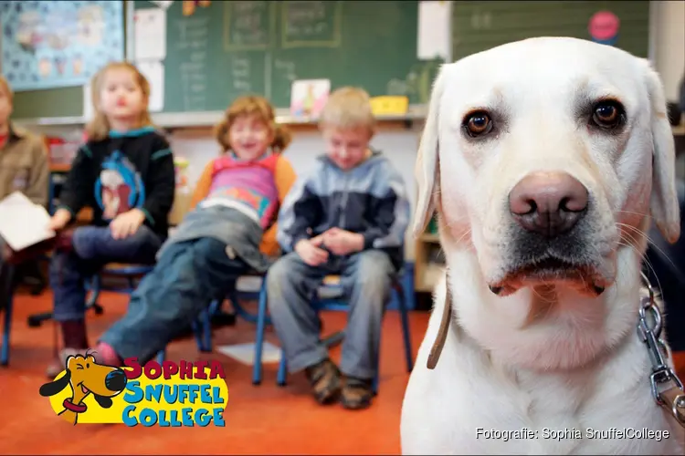 Hond voor de klas op basisschool de Triangel in Lelystad