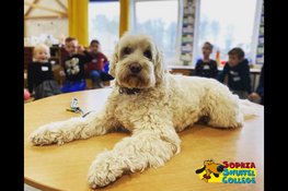 Hond voor de klas op basisschool de Triangel in Lelystad