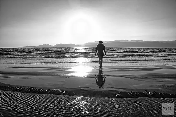 Opnieuw meer meldingen en adviezen Veilig Thuis