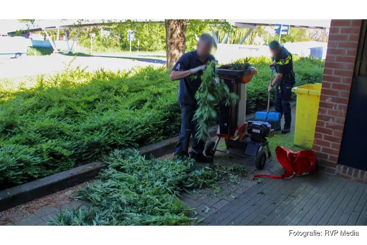 Wietkwekerij aangetroffen in woning Lelystad