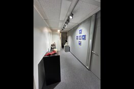 Atelier Pareltjes – Ontdek wat normaal verborgen blijft.