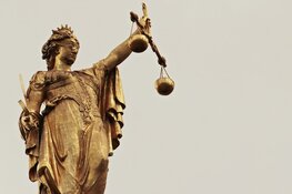 Gevangenisstraffen voor mannen die 7.000 hennepplanten teelden