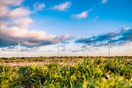 Koop lokaal en kies duurzaam