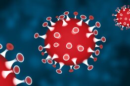 Corona maatregelen regering zijn steun in de rug voor ondernemers