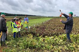 Lelystadse kinderen gaan oogsten bij De Lelystadse Boer