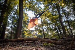 Mountainbikers en ruiters ruimen samen zwerfafval op in Overijsselse Hout