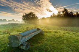 Groeten uit Oldambt en Groeten uit Westerwolde – Beide plekken om over naar huis te schrijven