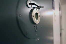 Cel en tbs met dwangverpleging voor doodsteken vriend in Lelystad