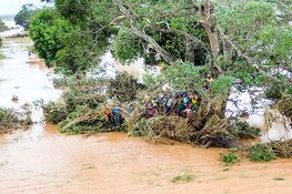 MAF-piloten leveren voedseldroppingen in Mozambique na mega-overstroming