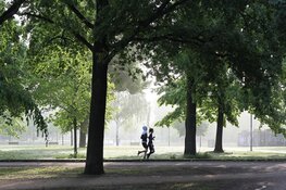 18- tot 35-jarigen bewogen minder in 2021