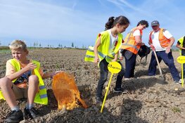 Lelystadse kinderen oogsten bij De Lelystadse Boer op 2 september