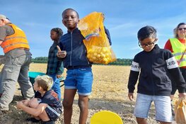 Lelystadse kinderen oogsten bij De Lelystadse Boer op 2 september