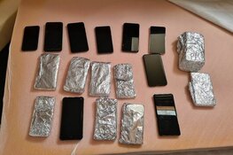 Telefoonbende die roofde op festivals voor de rechter