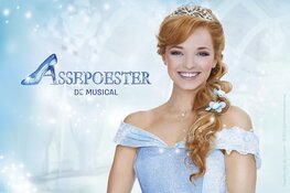 Assepoester De Musical