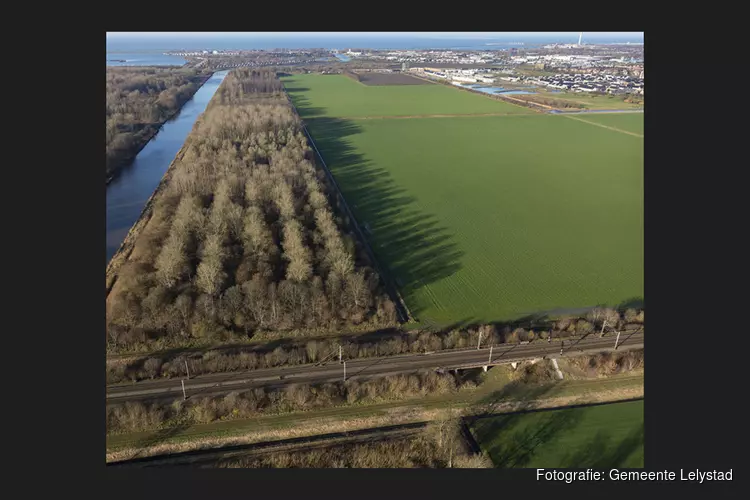 Rondweg Lelystad Zuid: inloop 26 januari 2023