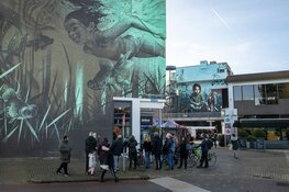 Ontdek een andere kant van Lelystad met de street art rondleiding op 2 april