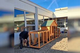 Opvang Vluchtelingen Lelystad krijgt nieuwe bewoners: kippen en bijen