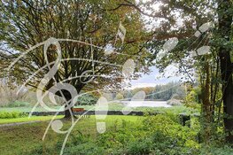 Muziekwandeling Natuurpark Lelystad