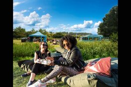 Footprint Fest: Nieuw duurzaam feest in het Kotterbos