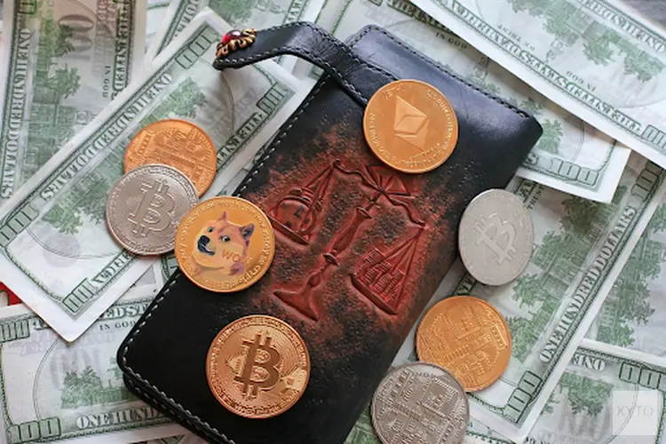 Financieel Gezonde Toekomst voor de Jonge Flevolander: Zo Doe Je Dat