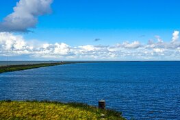 Fotowedstrijd voor jong en oud