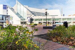 Lelystad werkt aan een nieuw beeldmerk voor de stad