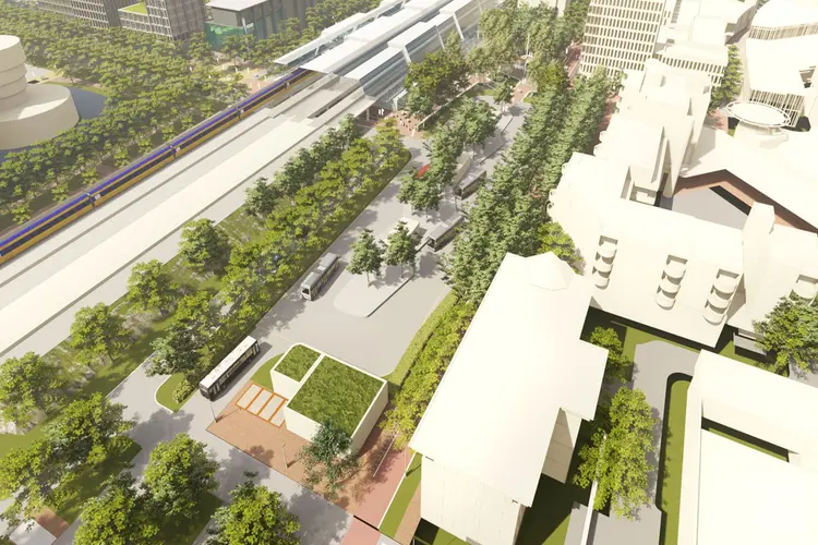 Bomen worden tijdelijk opgeslagen